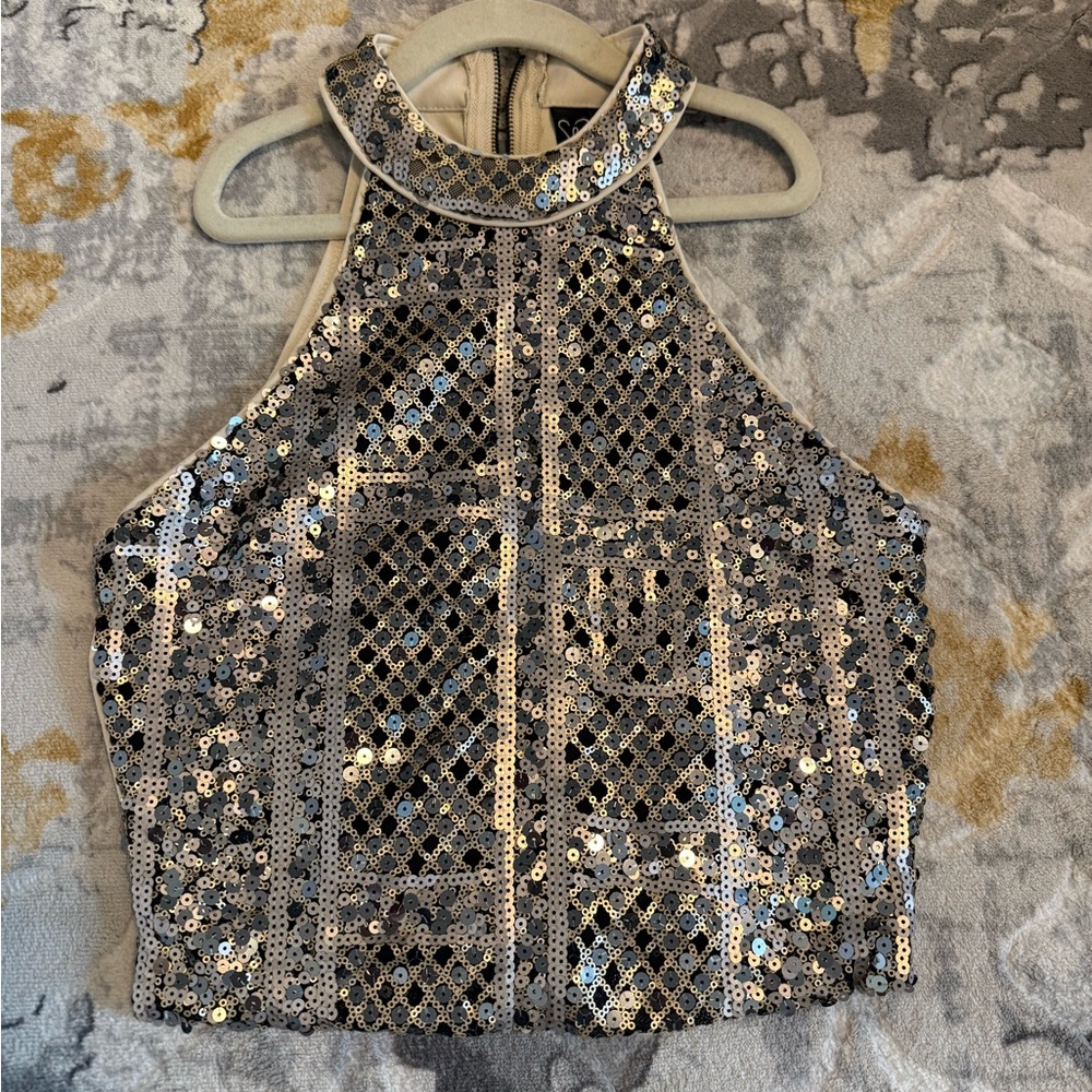 Windsor Glittering Sequin Crop Top - Silver